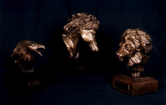 Allegiance & Perseverance