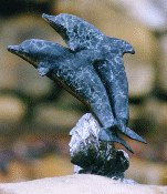 ''The Tango'' Dolphins