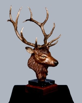 Elk Bust