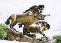 ''Still Free'' Horses