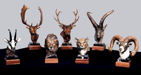 Click for larger view