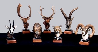 Click for larger view