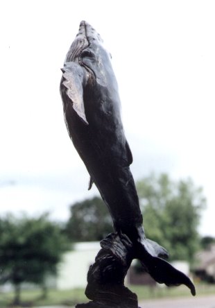 ''Bursting'' Whale (Dark)